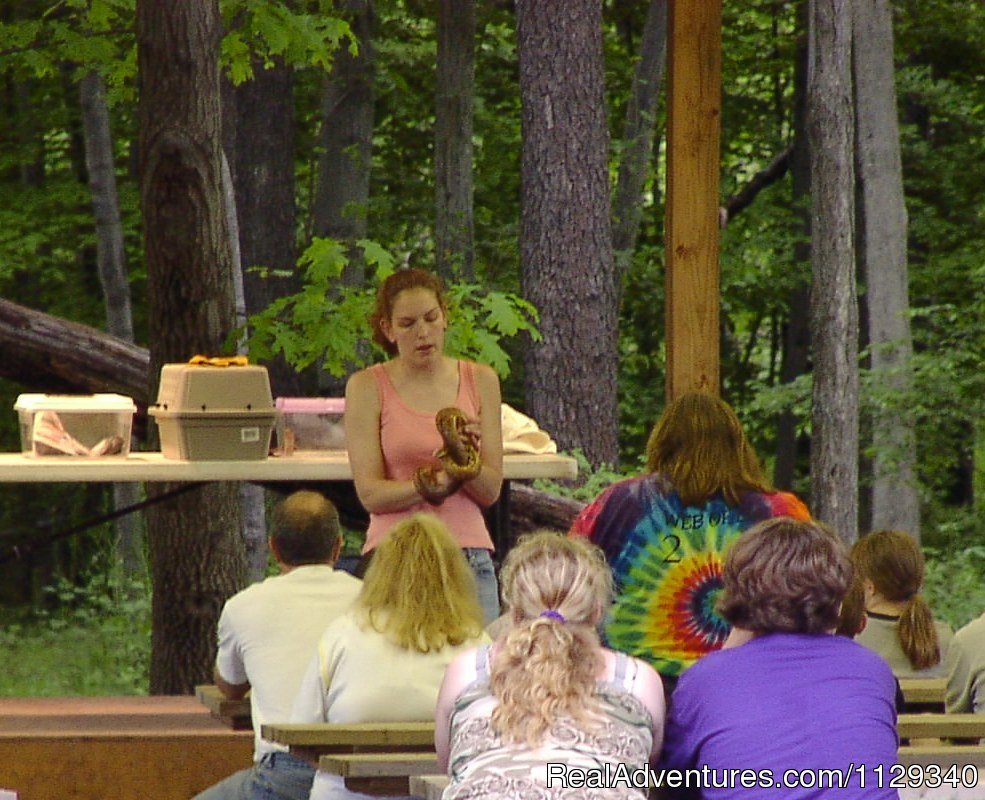 Take-out - PA 115 Stoddartsville, PA