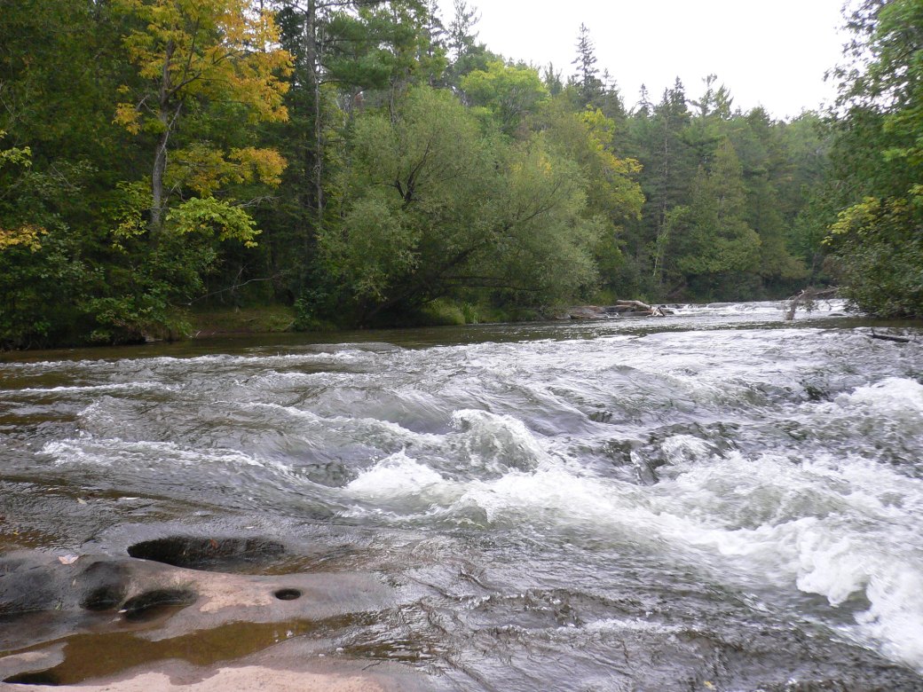 The Falls Rapids