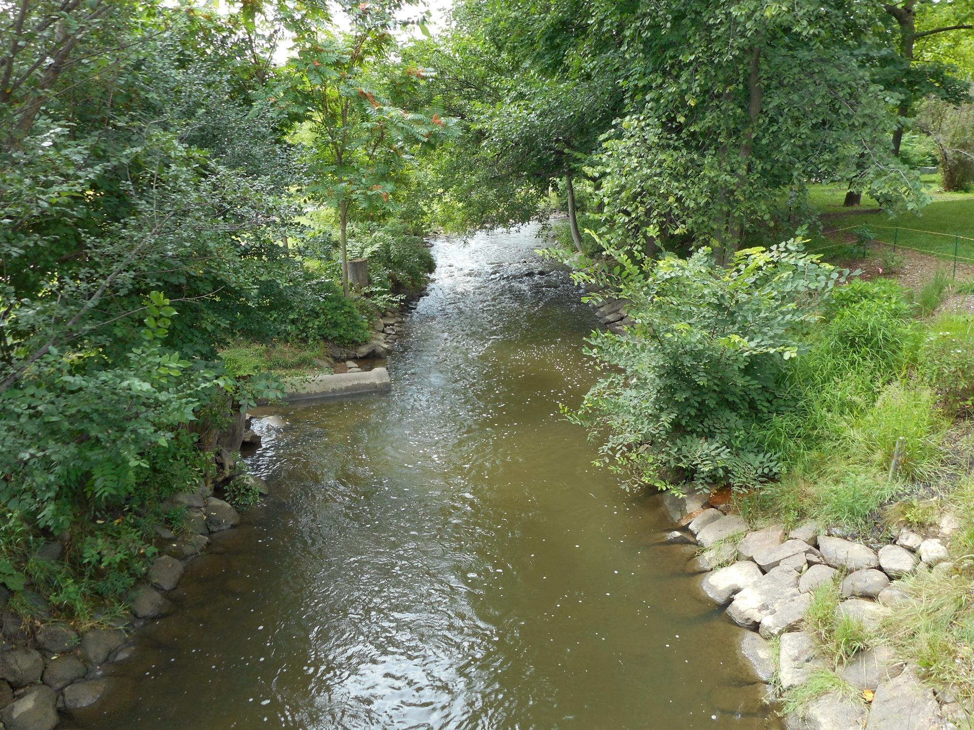 The Mill Race