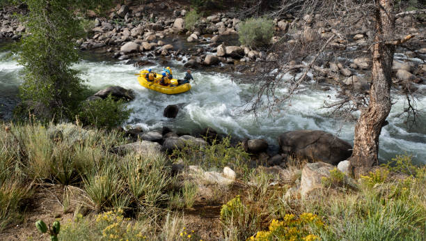 Triumphal Arch Rapid (1)
