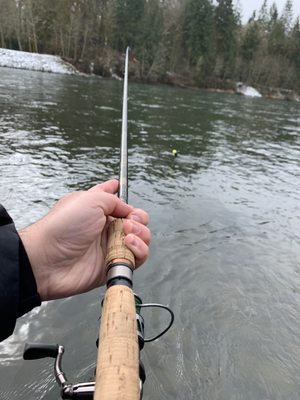 Trout Hatchery Take Out