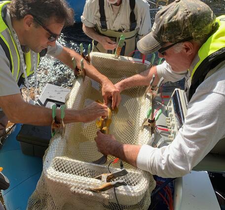 USGS sampling site: 117 sq.mi.drainage