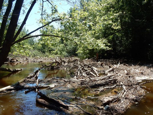 Utility Transect Wave (UTW) and Rock Garden #2