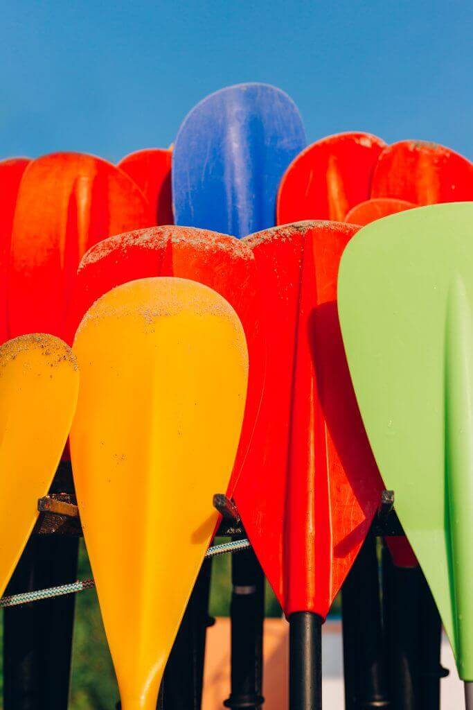 Very Large Beaver Dam