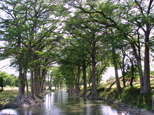 Waring Welfare Rd Bridge (Waring Crossing)