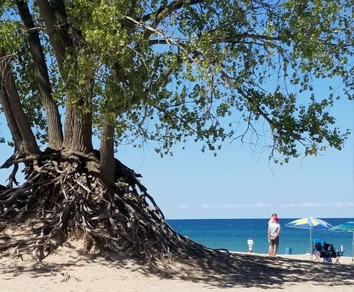 West Beach / Ogden Dunes
