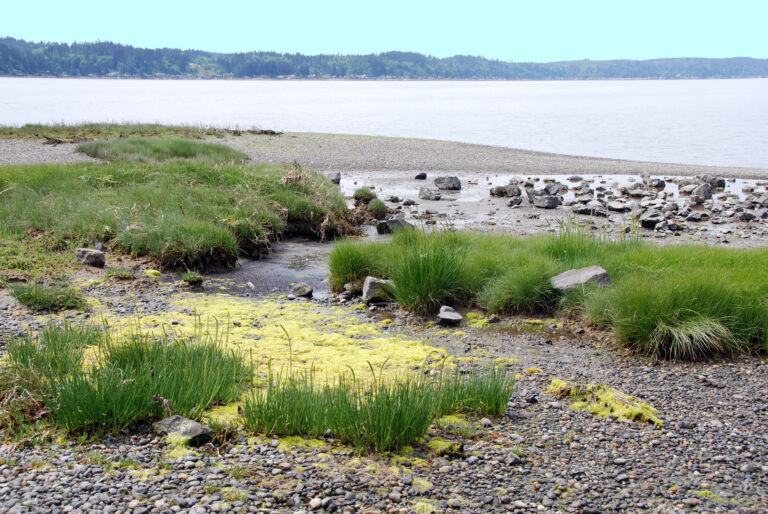 Weyerhauser Gate, Lower Put-in