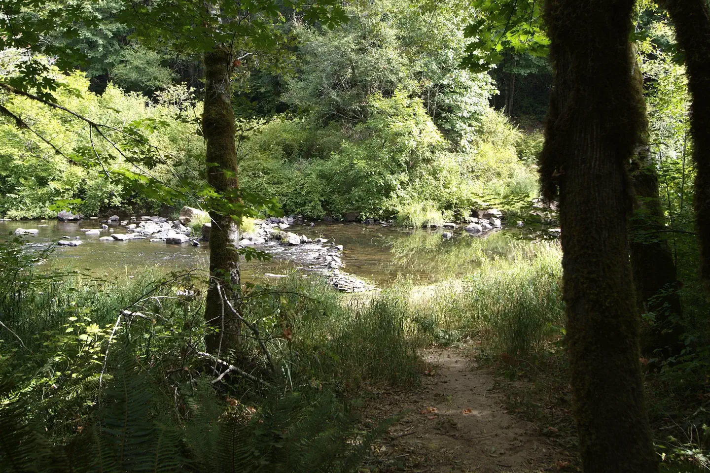 Whittaker Bridge Access Site