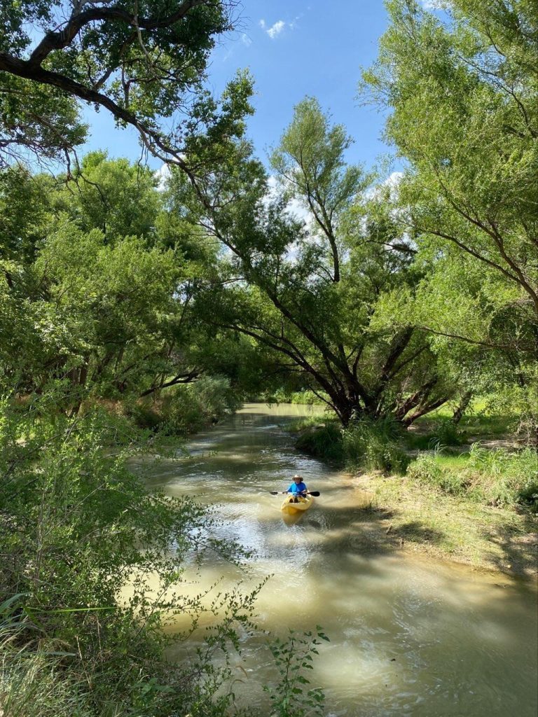 Willow Creek / N. Grape Creek Confluence