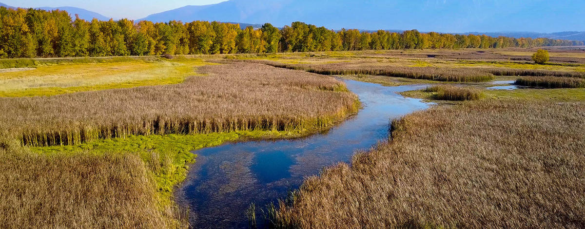 WMA boundary (public land begins here)