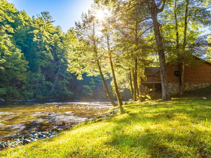 Wooded, braided channels