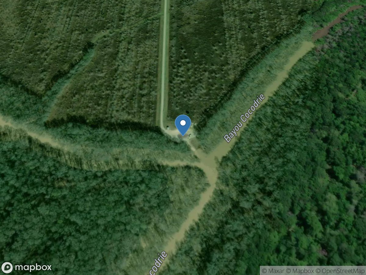 Cocodrie Bayou