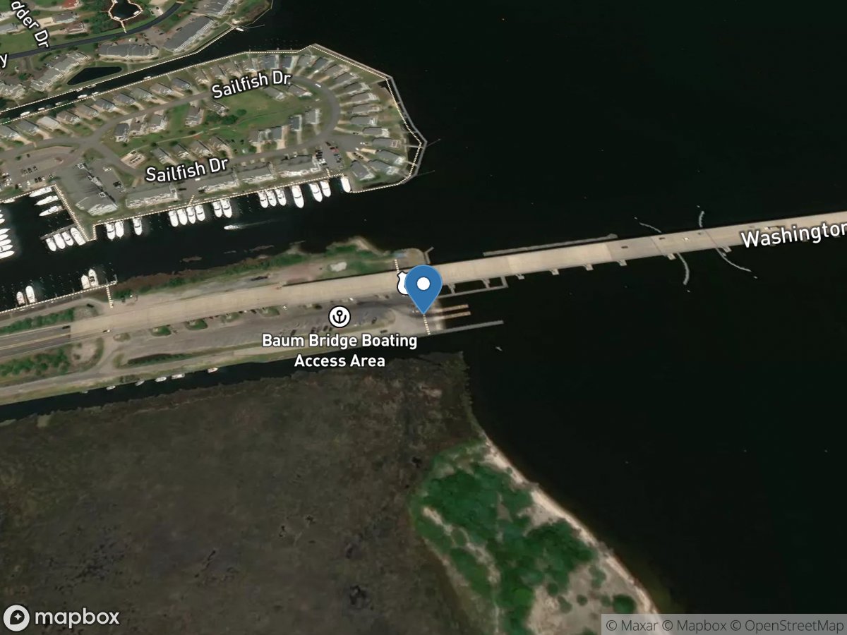 Wildlife Ramp (Washington Baum Bridge)