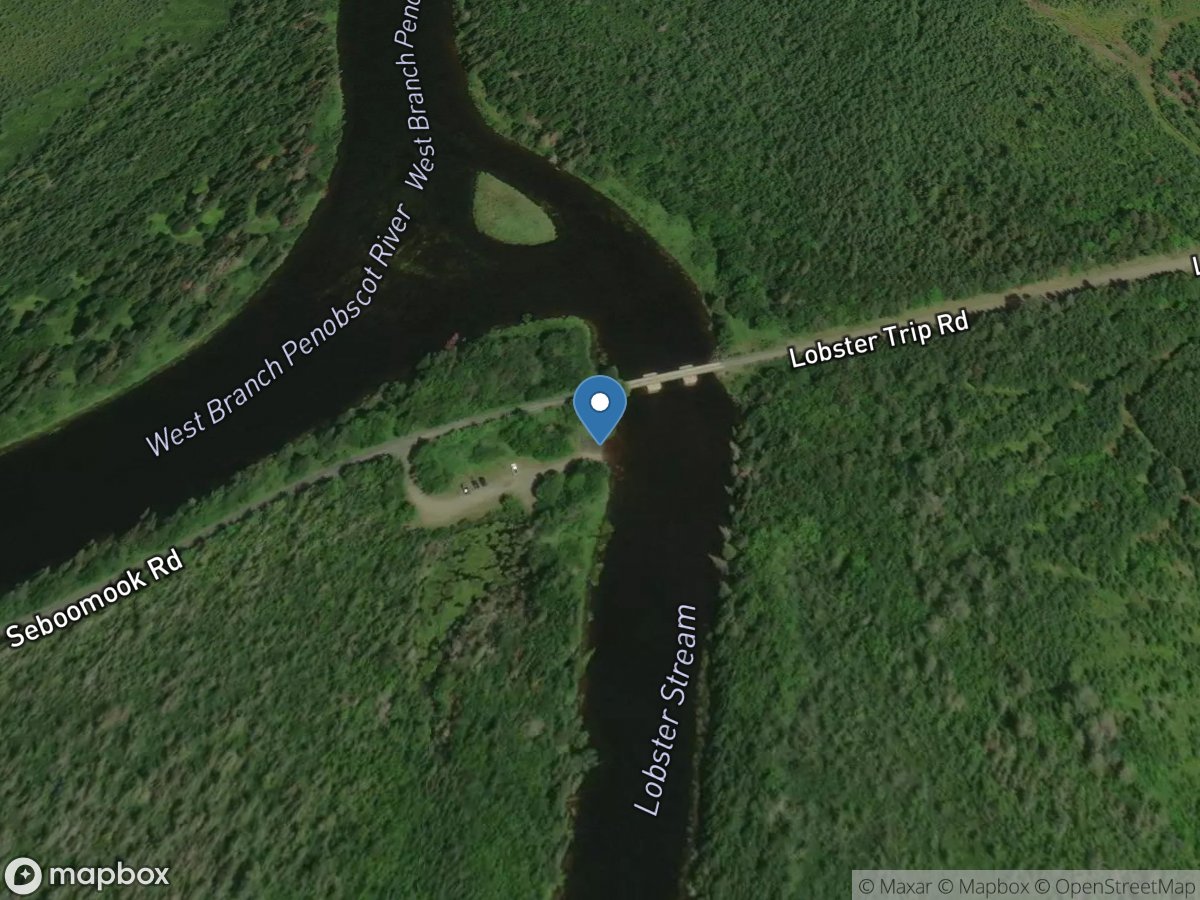 Northeast Carry Township