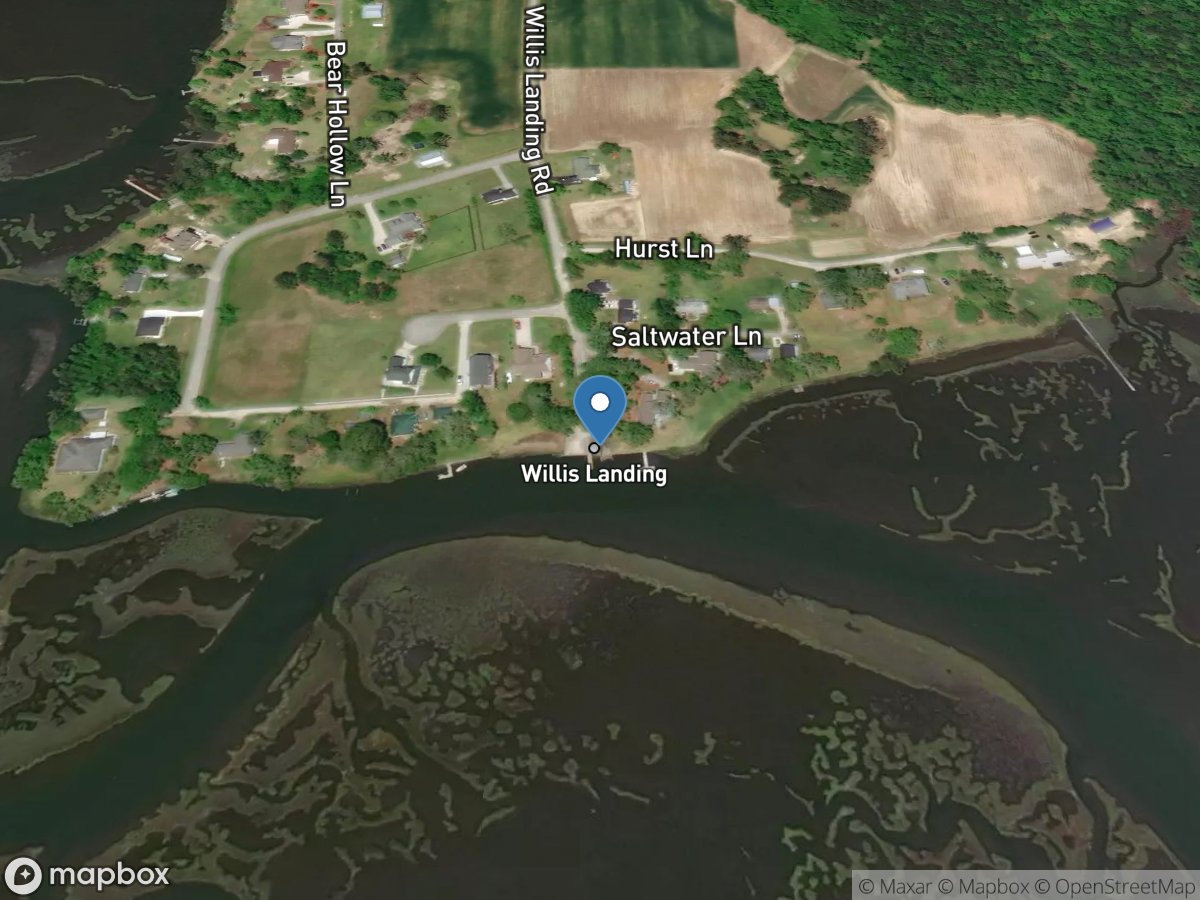 Wildlife Ramp (Willis Landing)