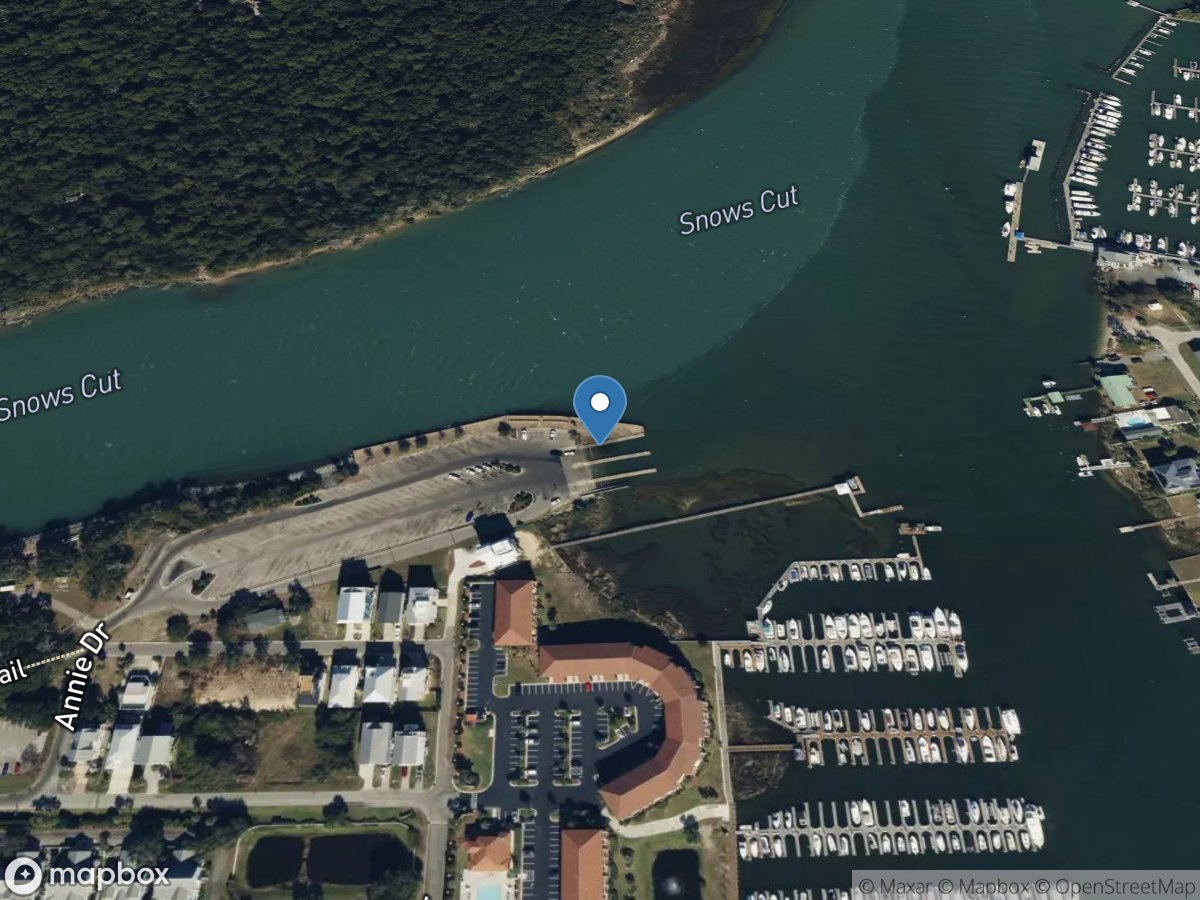 Wildlife Ramp (Snows Cut)