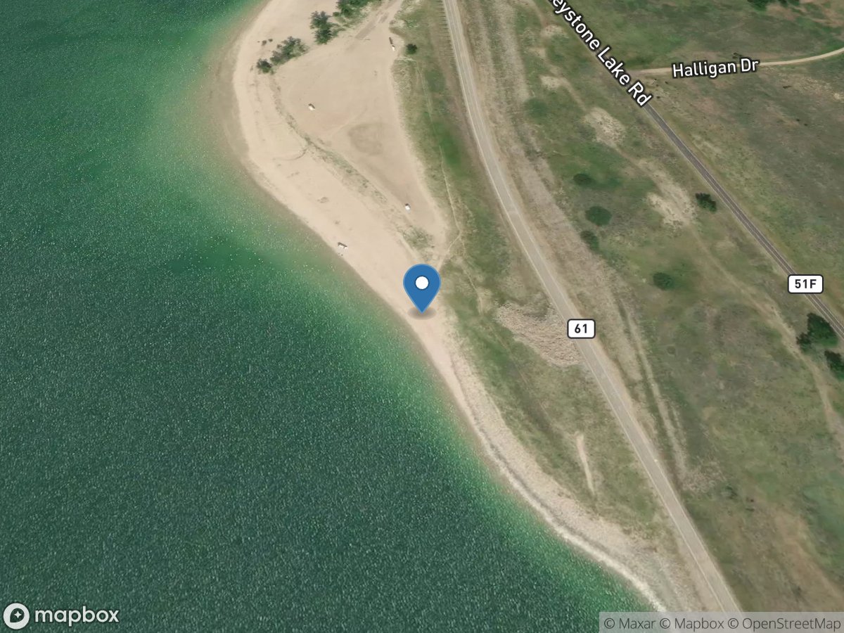 Martin Bay Low Water