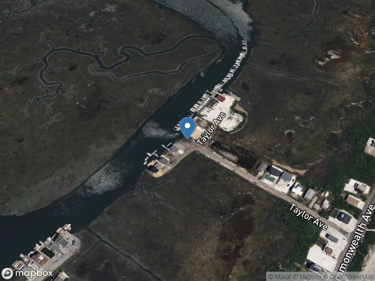 Public on Whale Creek