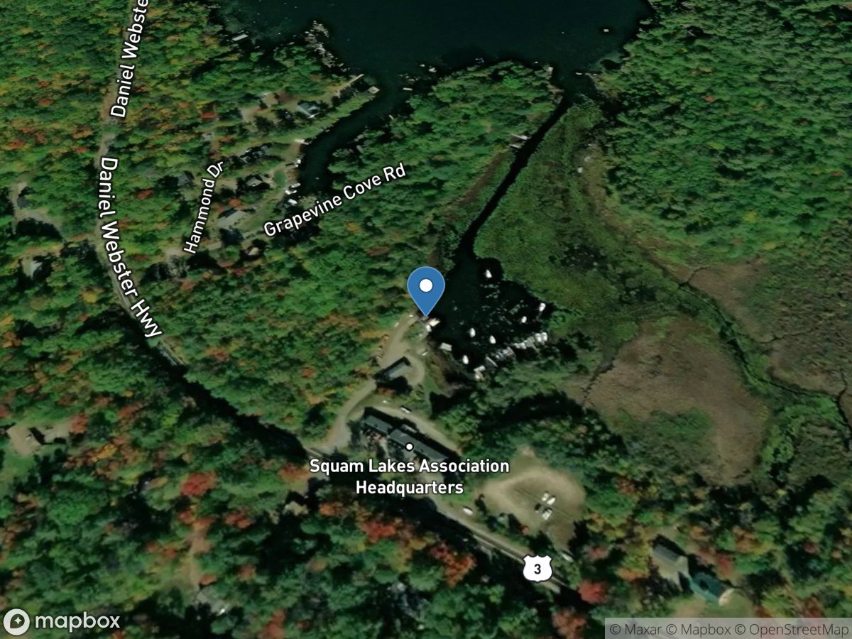 Squam Lakes Association