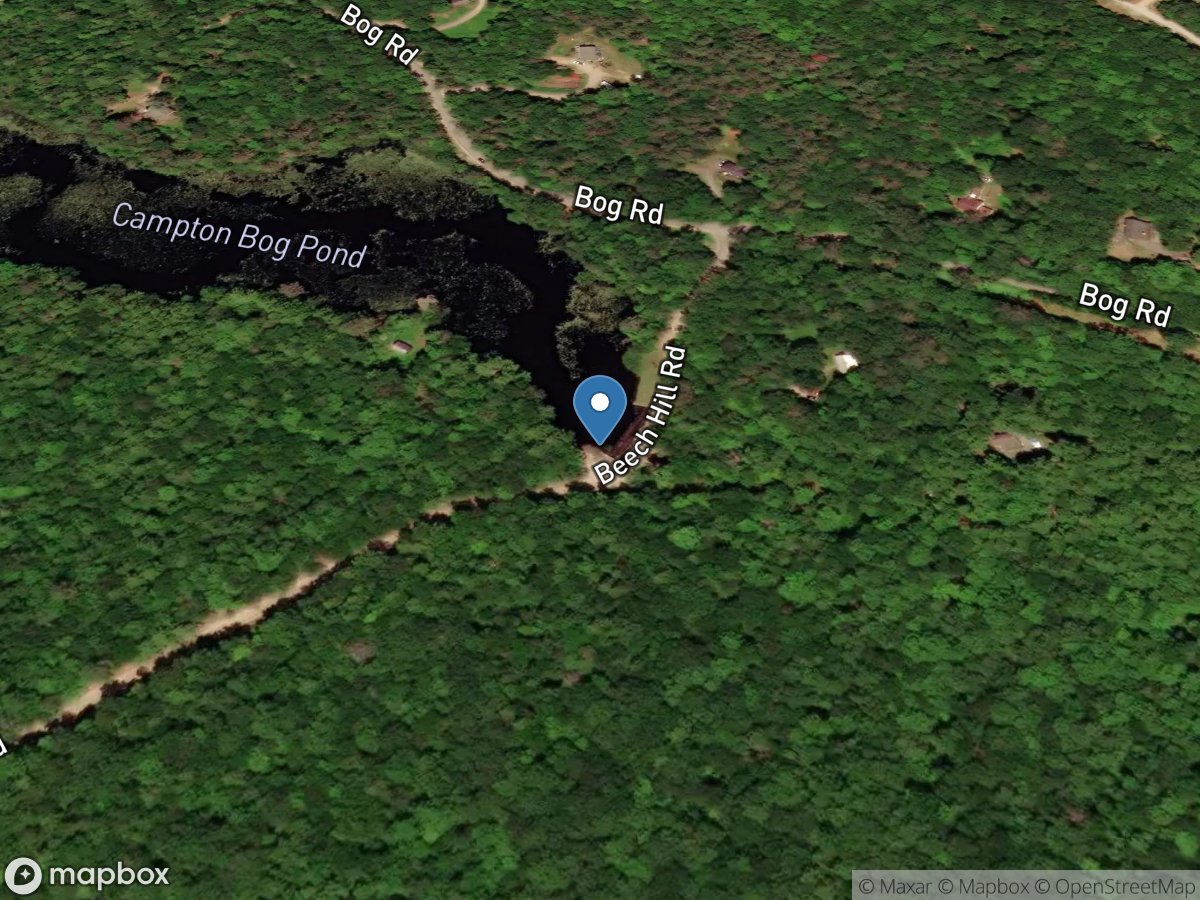Bog Pond