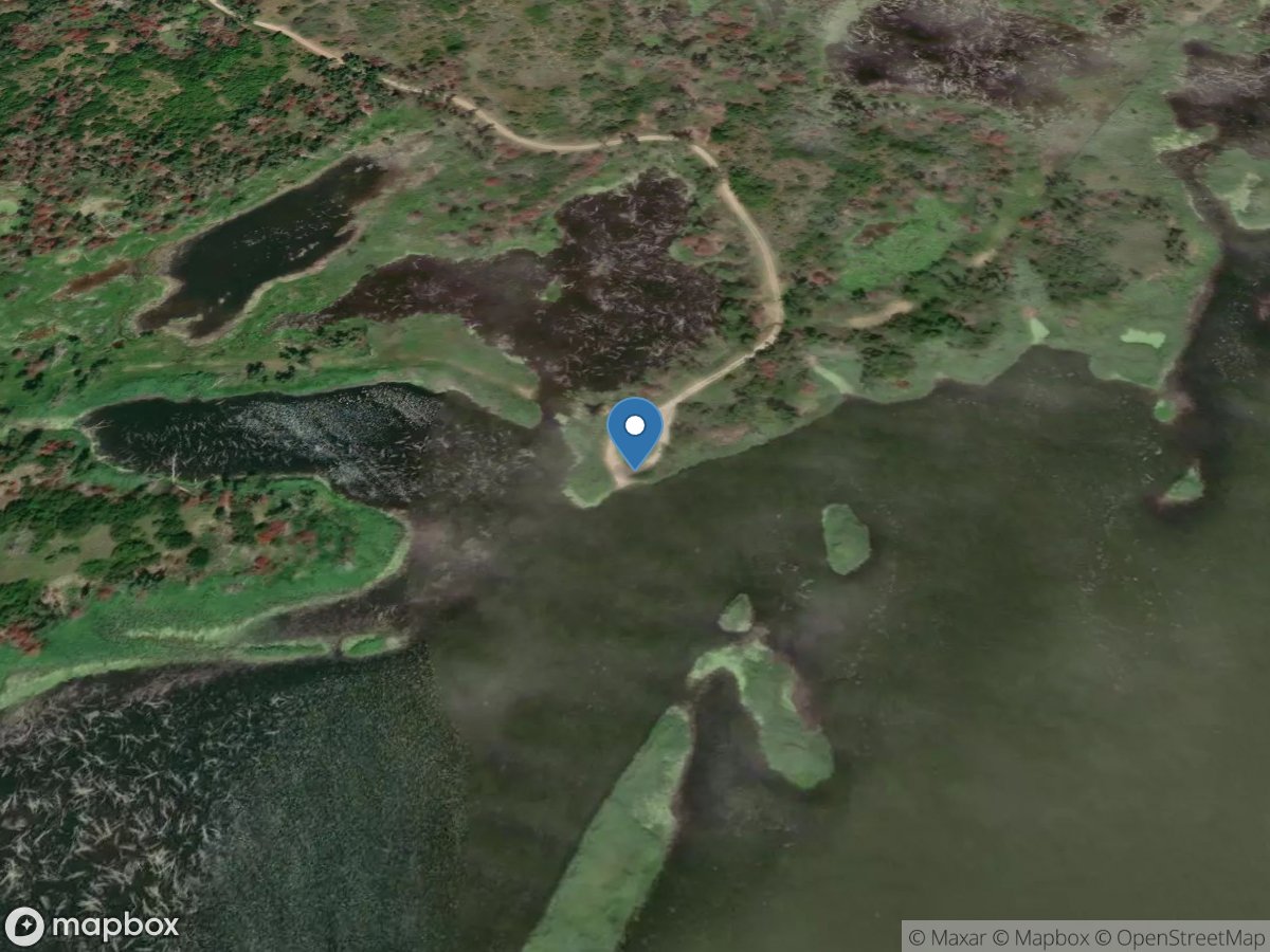 Canton Lake - Elm Tree