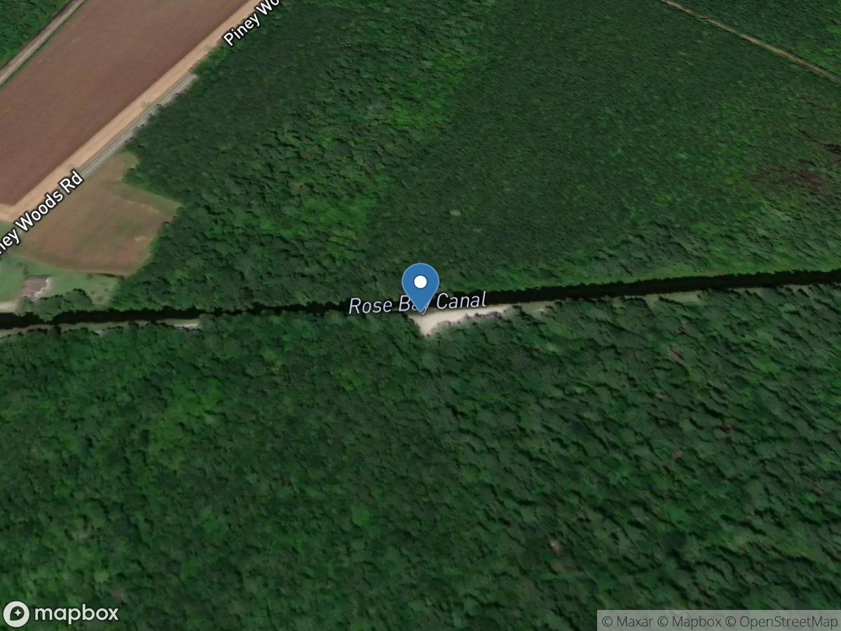 Lake Mattamuskeet Boat Ramp