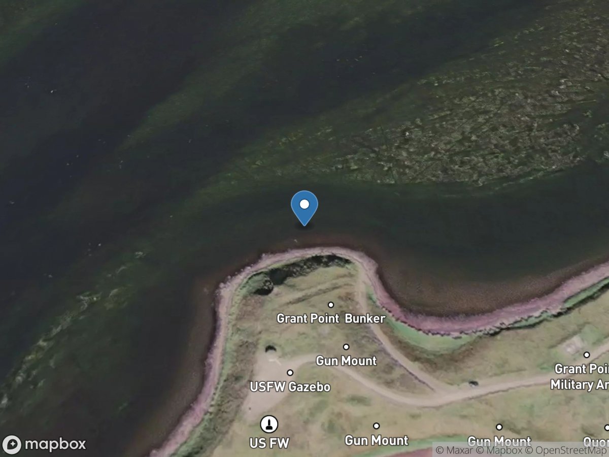 Izembek Lagoon Observation/Launch