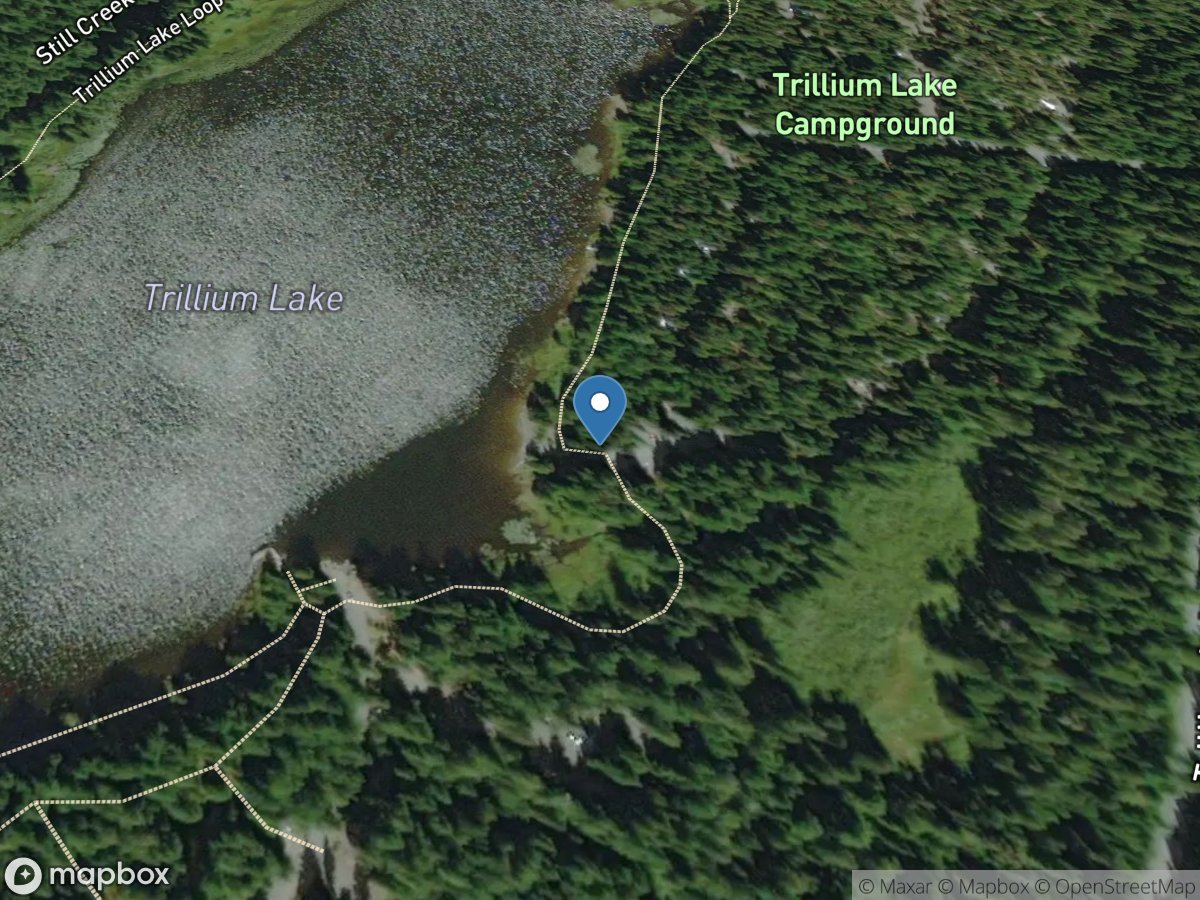 Trillium Lake Camp