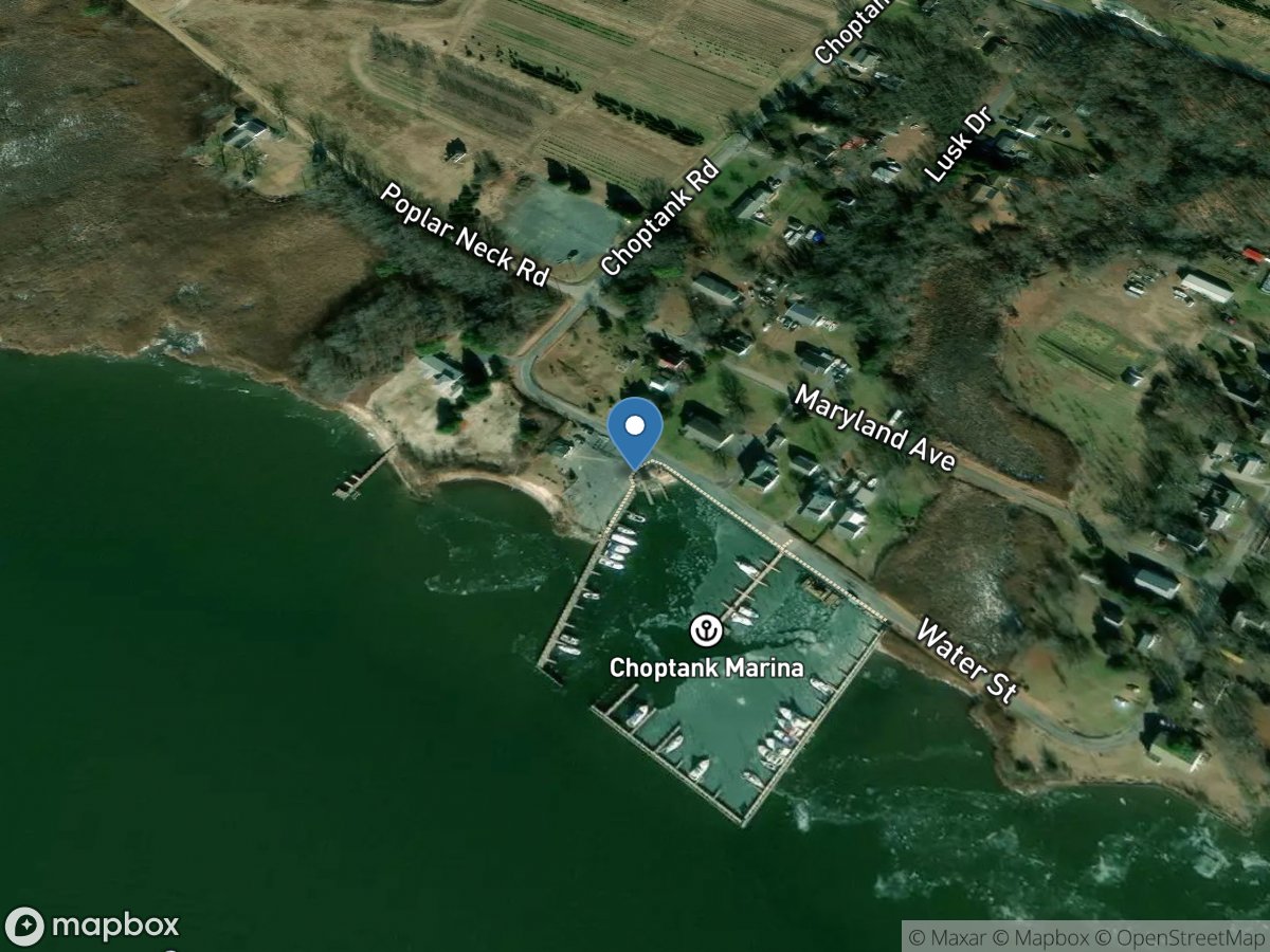 Choptank Boat Basin