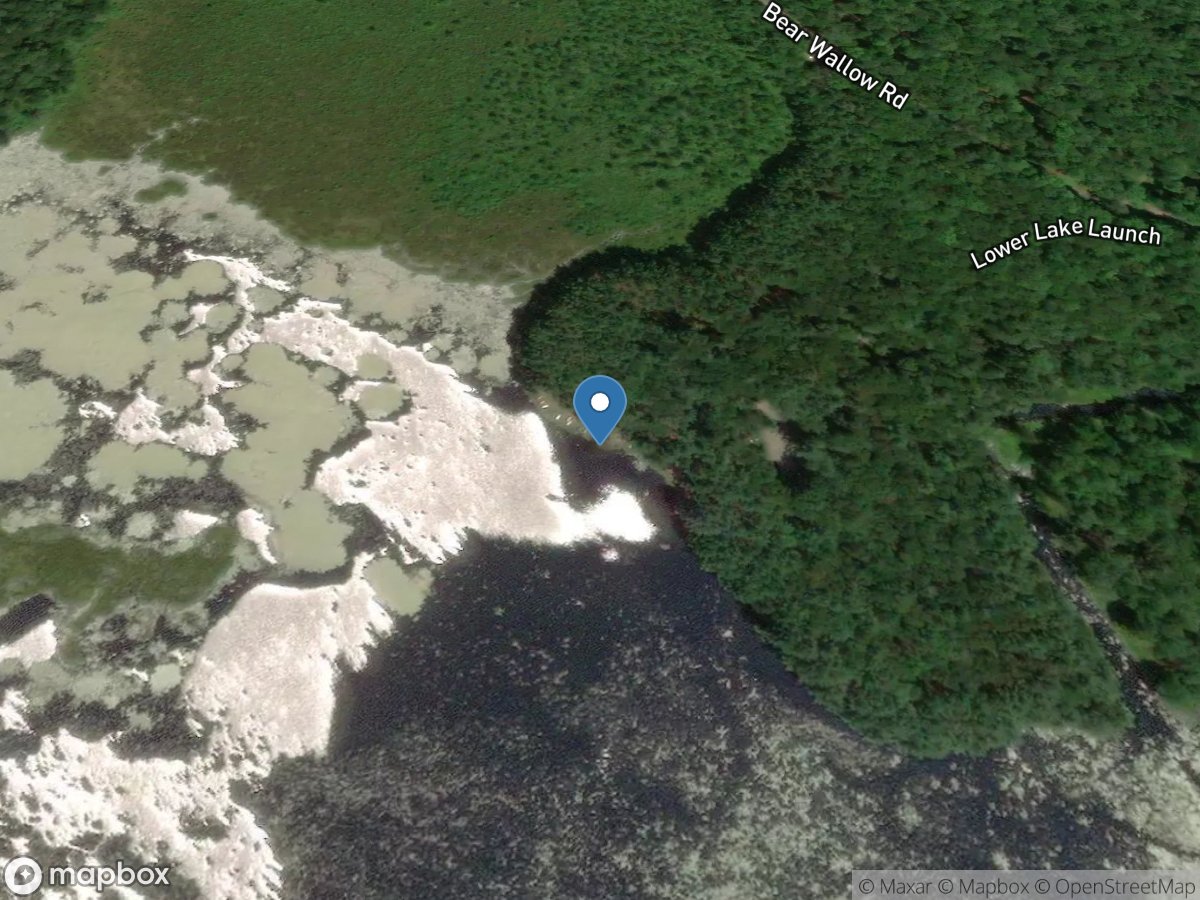 Bear Wallow Road - Observation Station