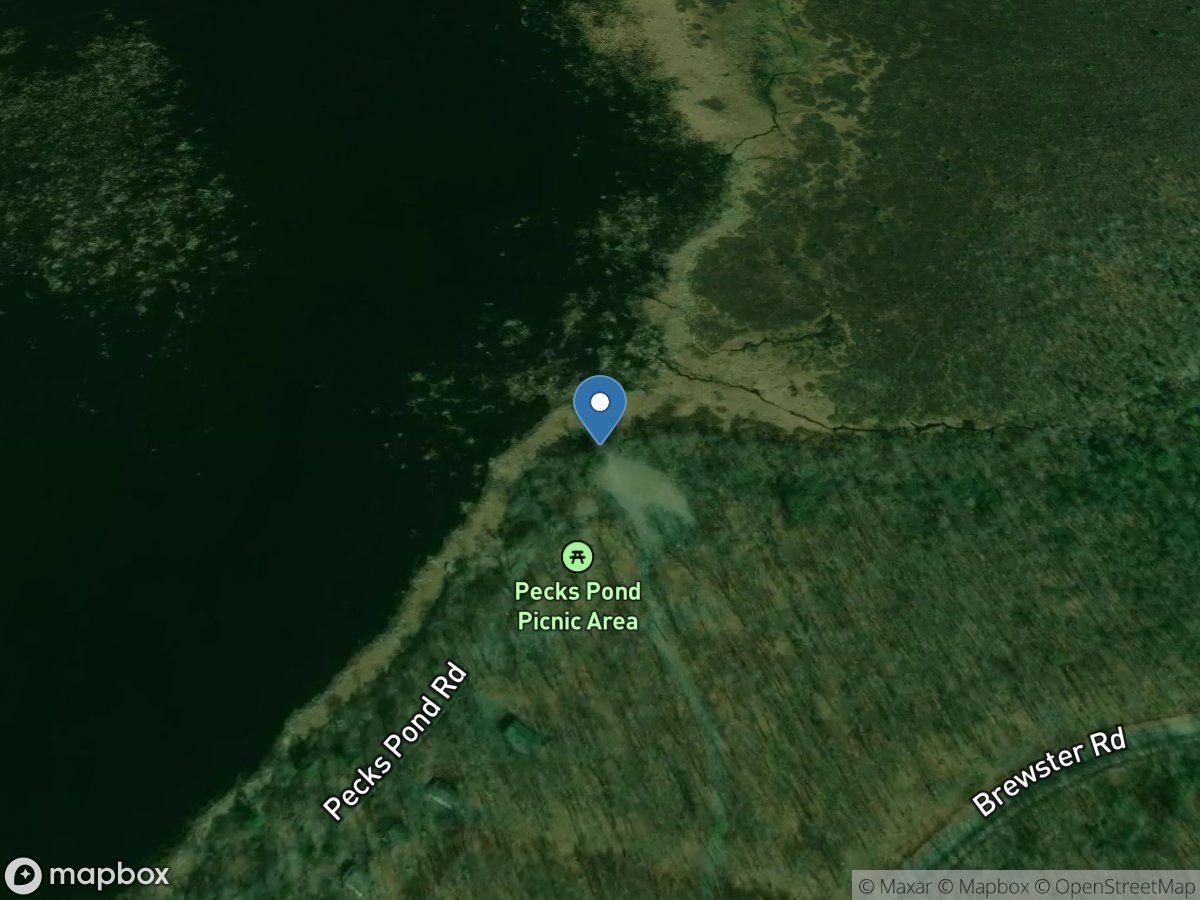 Pecks Pond Picnic Area