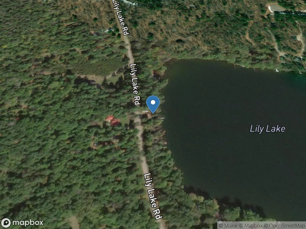 Lily Lake