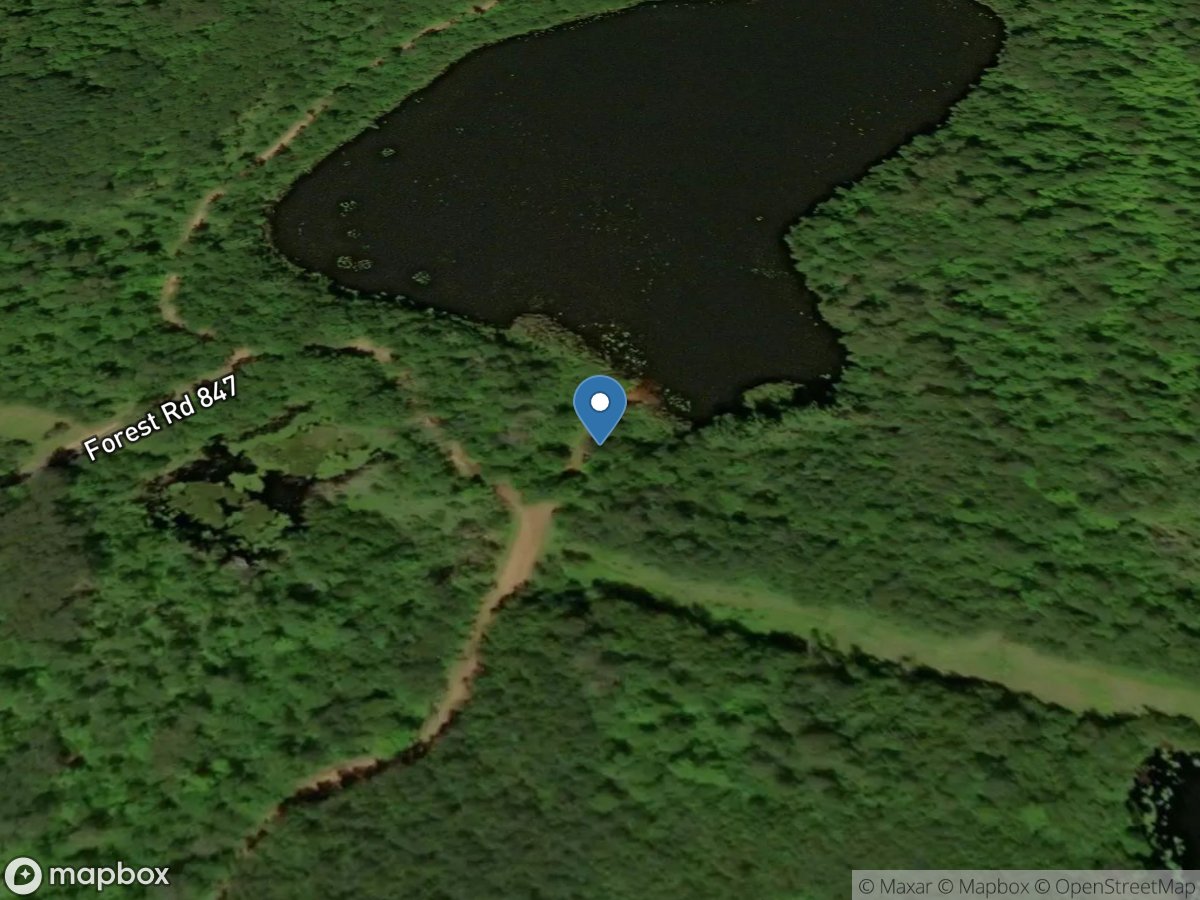 Bladder Lake - South