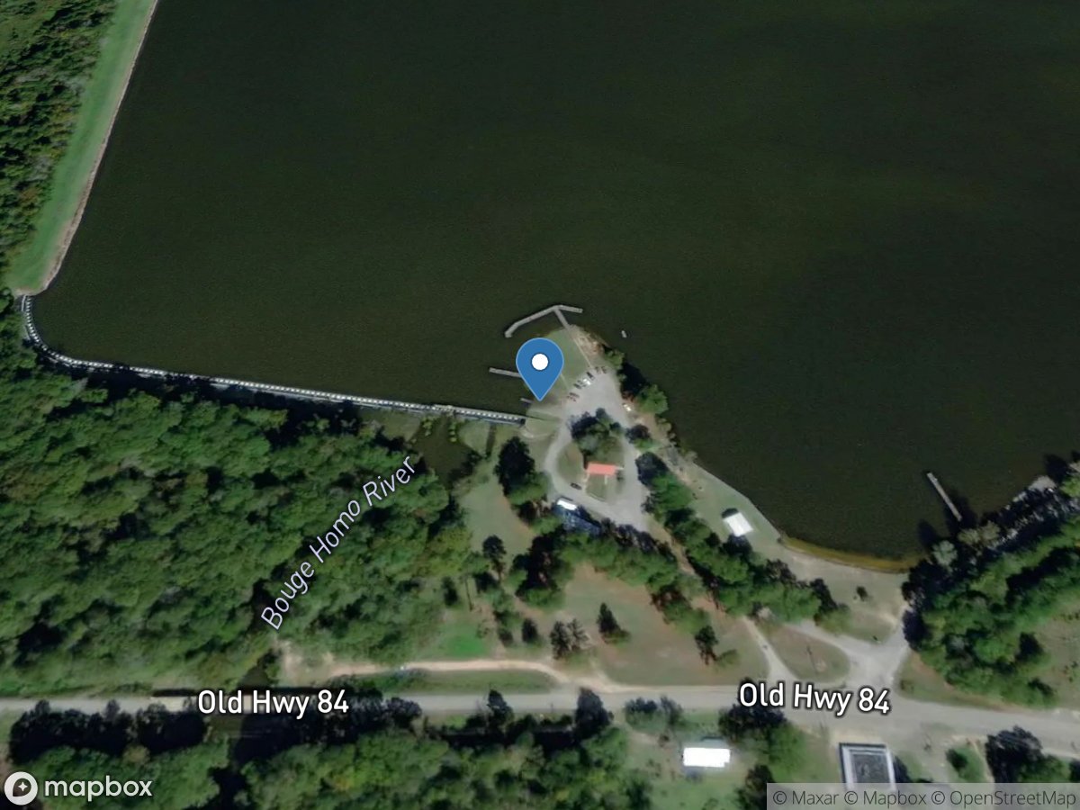 Lake Bogue Homo