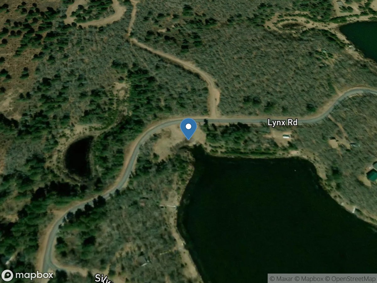 George Lake - Lynx Road