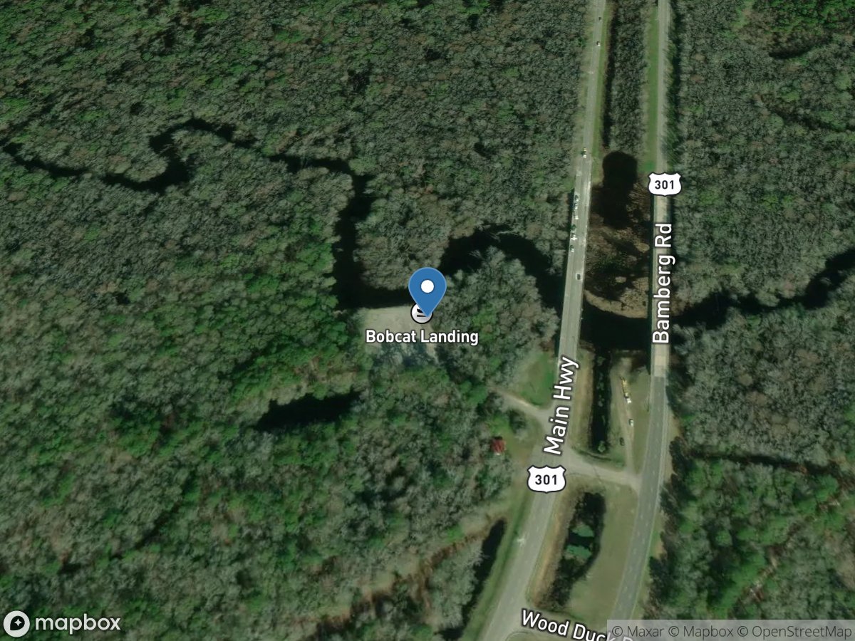 Bobcat Landing (Highway 301 Bridge)