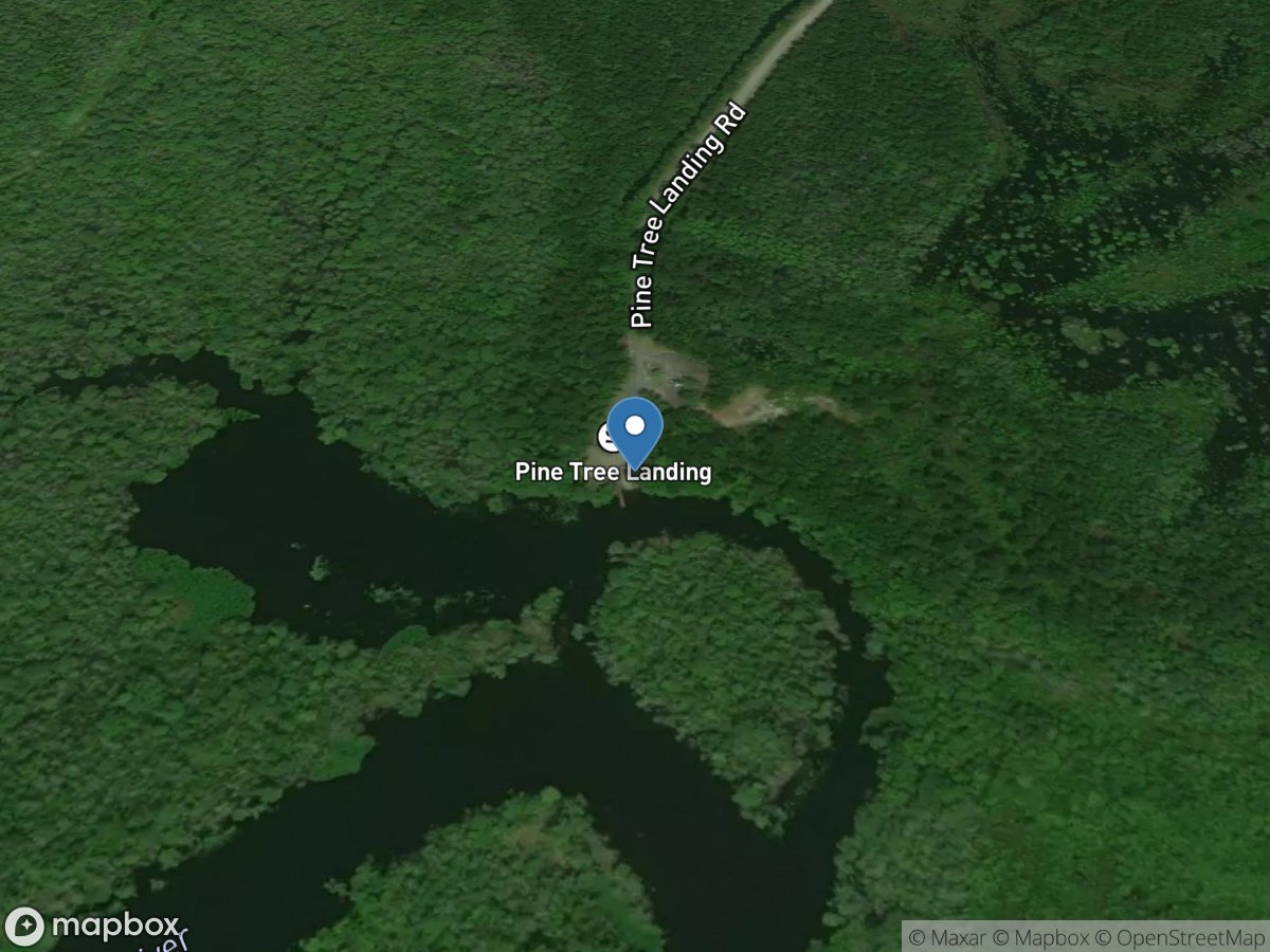 Pine Tree Landing