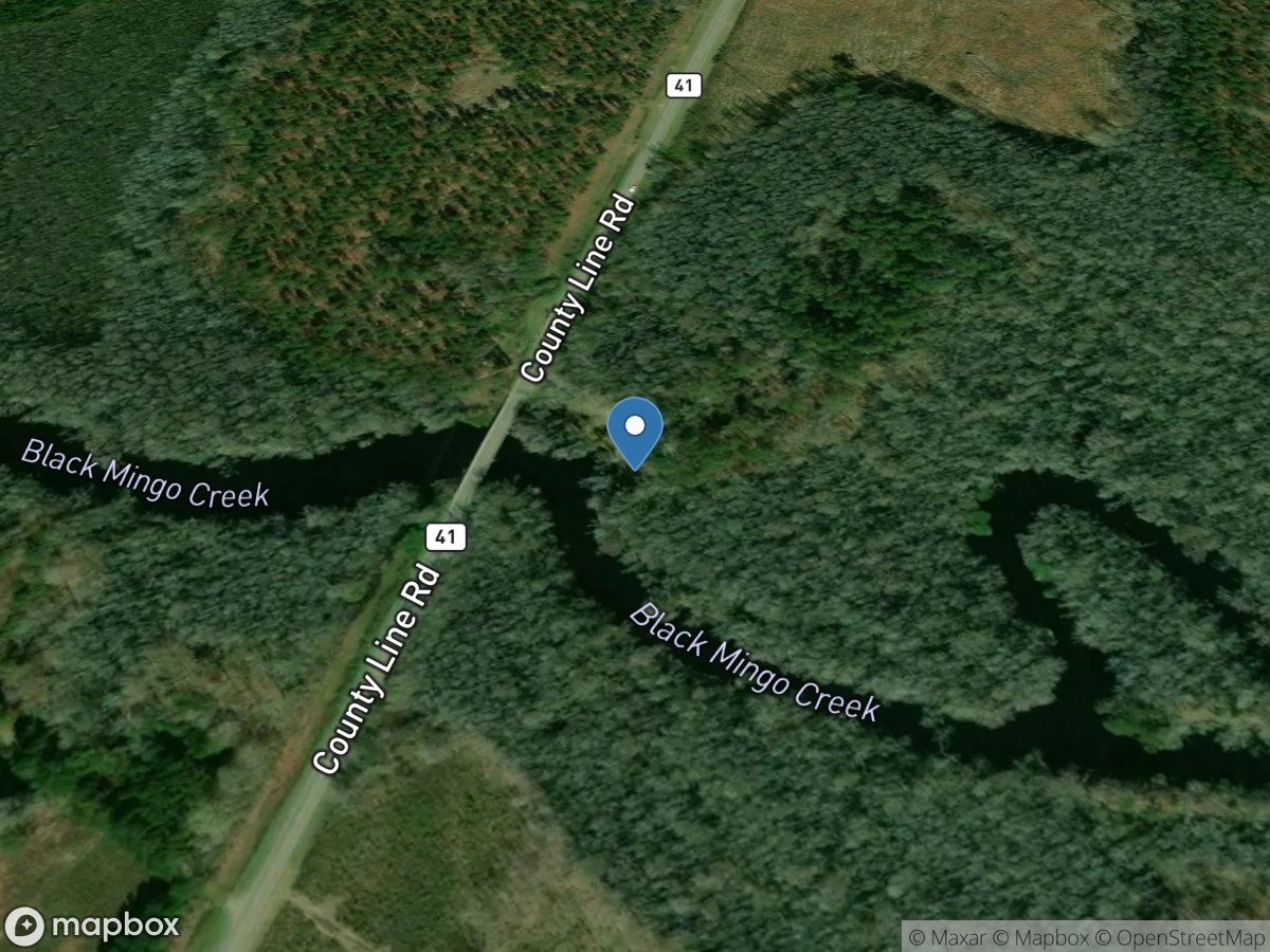 Mingo (Highway 41 Bridge)