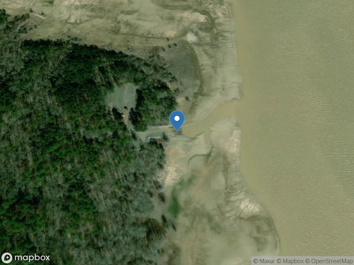 Grenada Lake Piney Woods