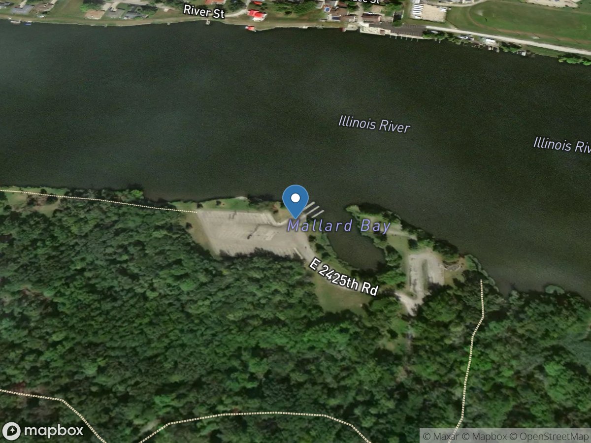 Illini State Park - Mallard Bay