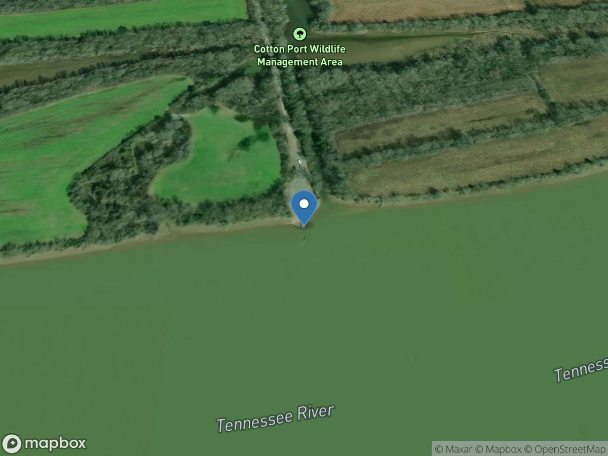 Cottonport Wildlife Management Area