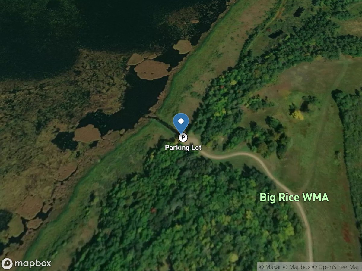 Big Rice Lake (East)