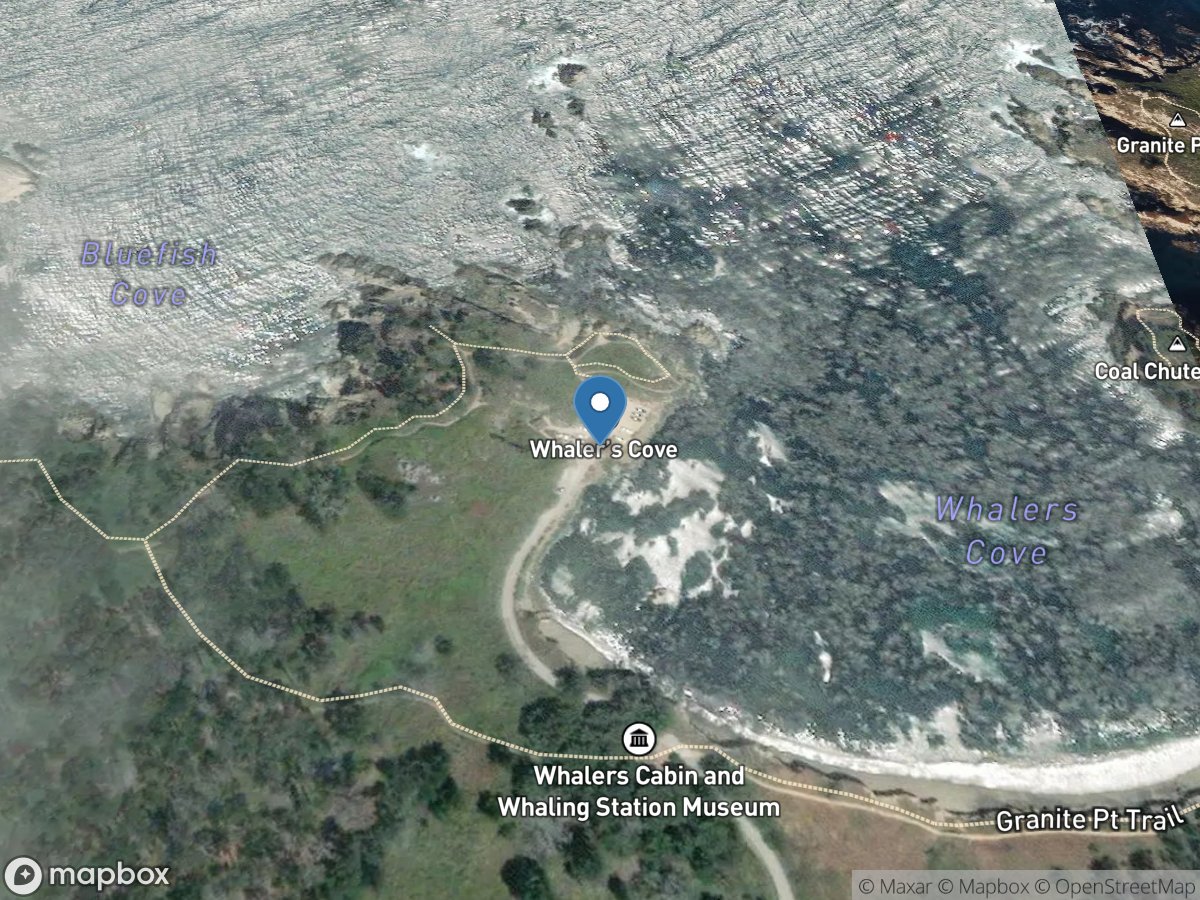 Point Lobos State Natural Reserve - Whalers cove