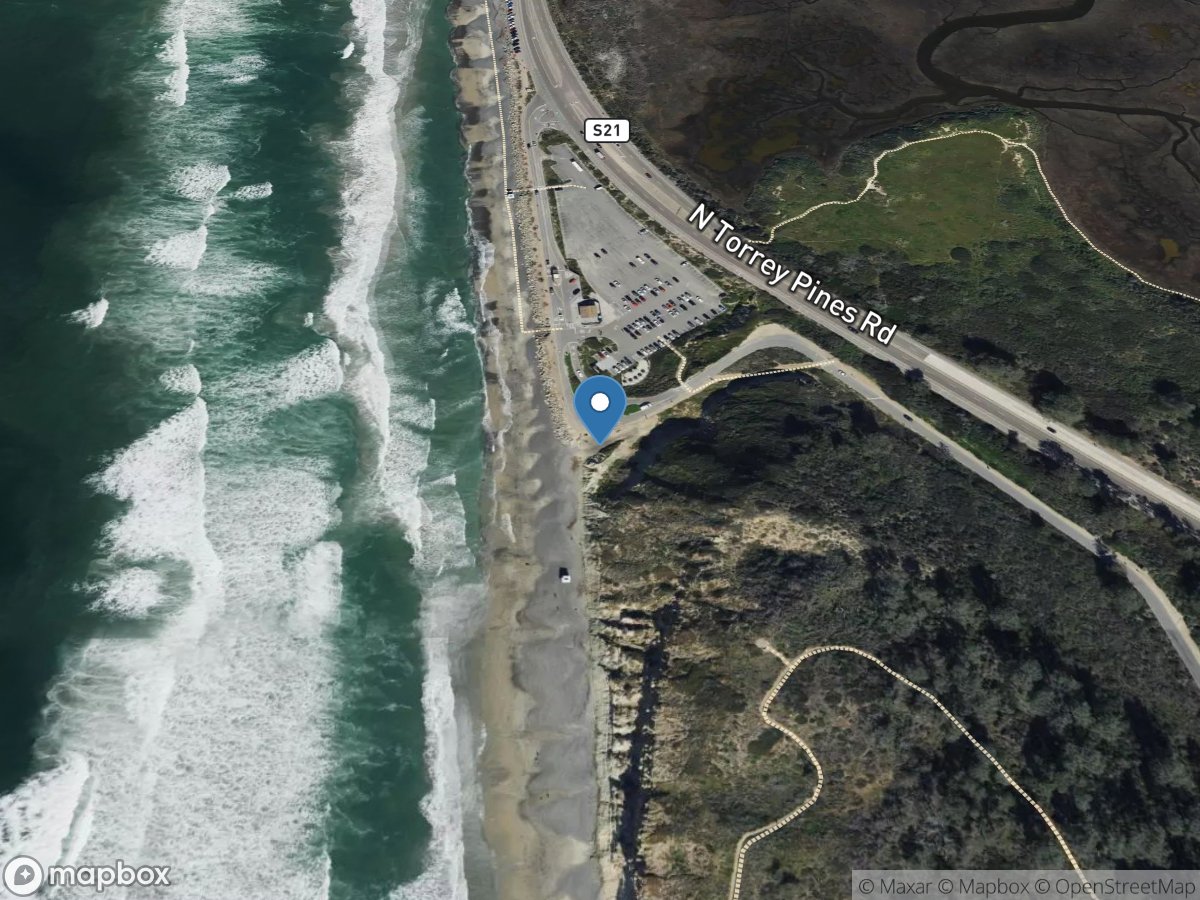 Torrey Pines State Beach