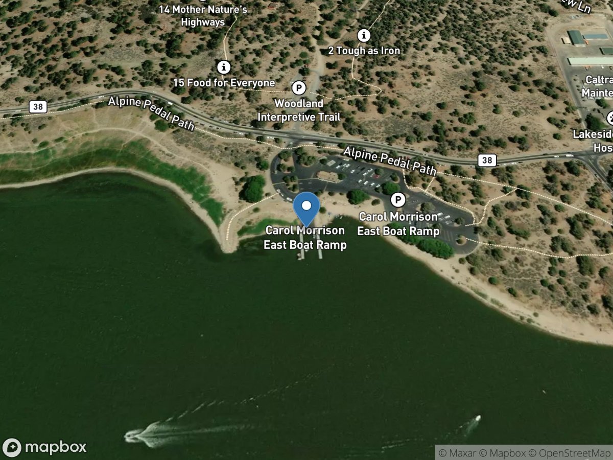 Carol Morrison (East)