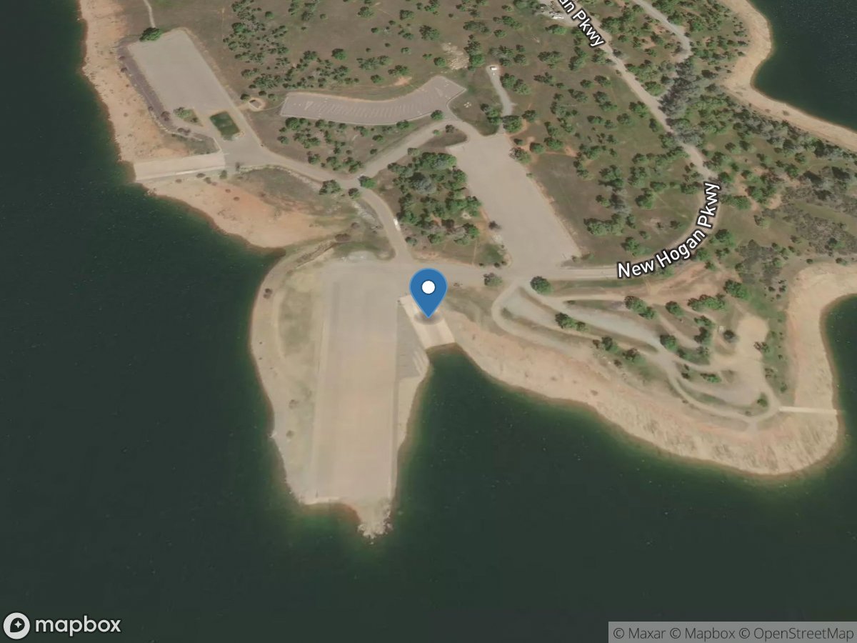 New Hogan Lake (Fiddleneck)