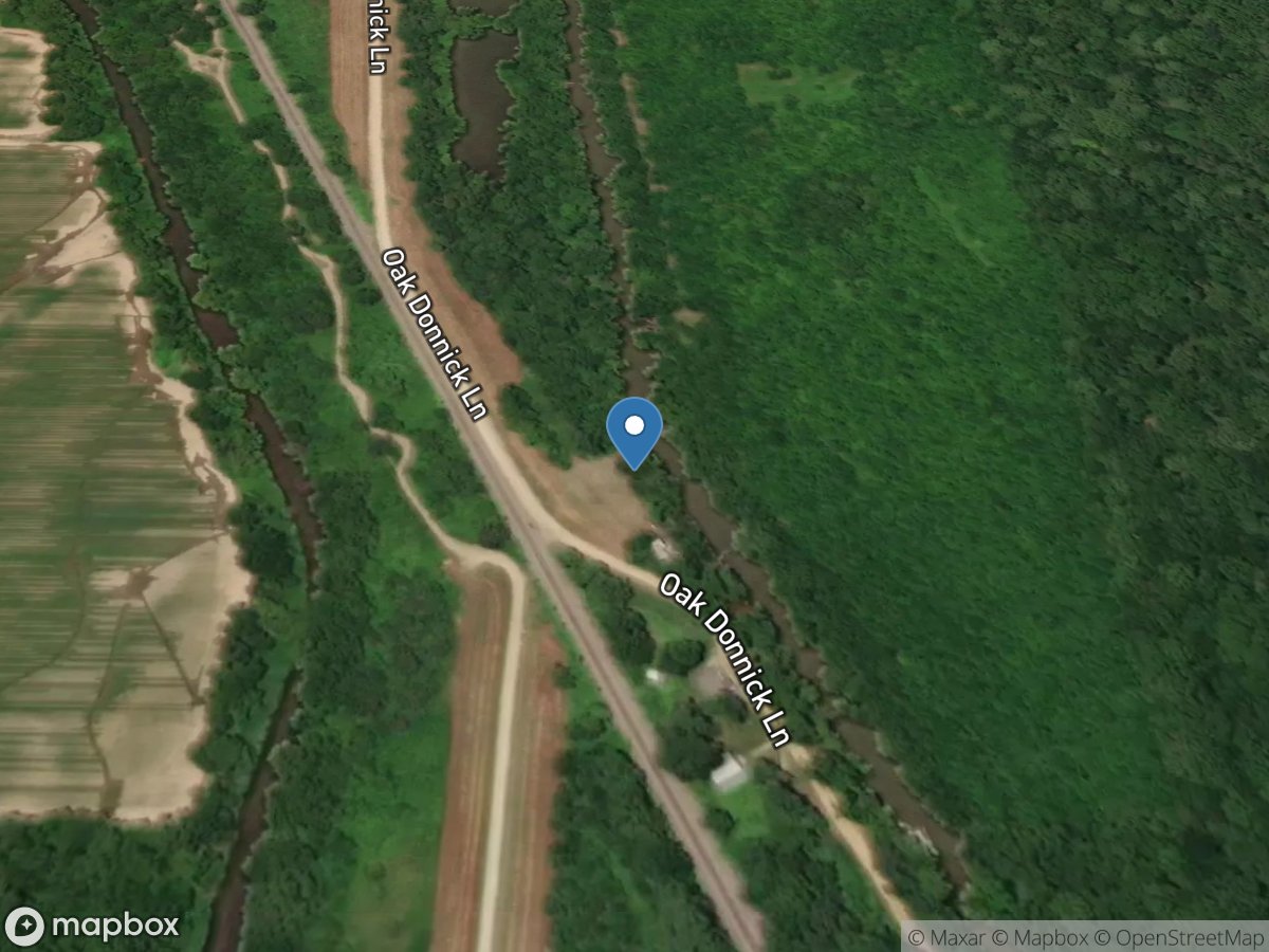 St. Francis Sunken Lands Wildlife Management Area - Oak Donick