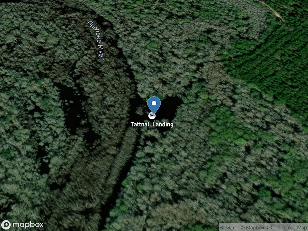 Big Hammock Wildlife Management Area (Tattnall)