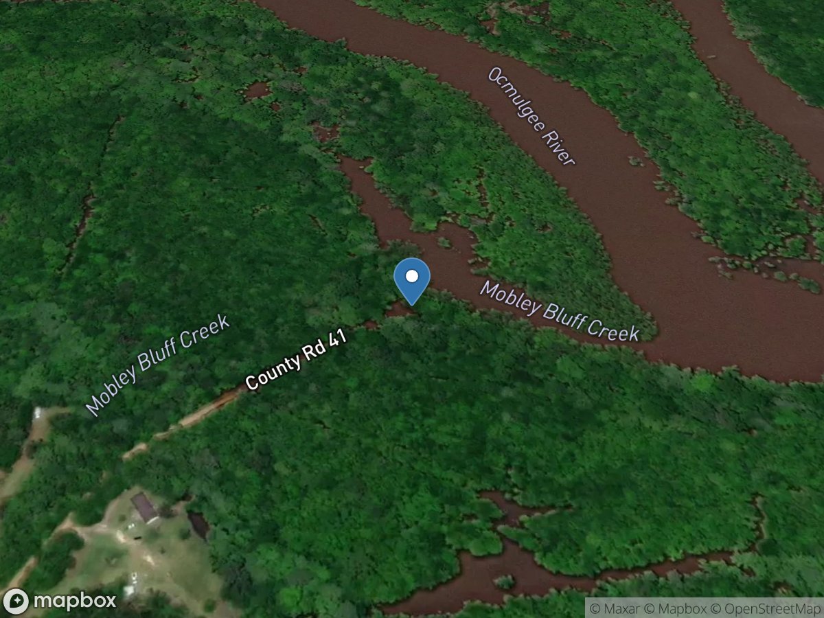 Coffee County Landing (Mobley Bluff)