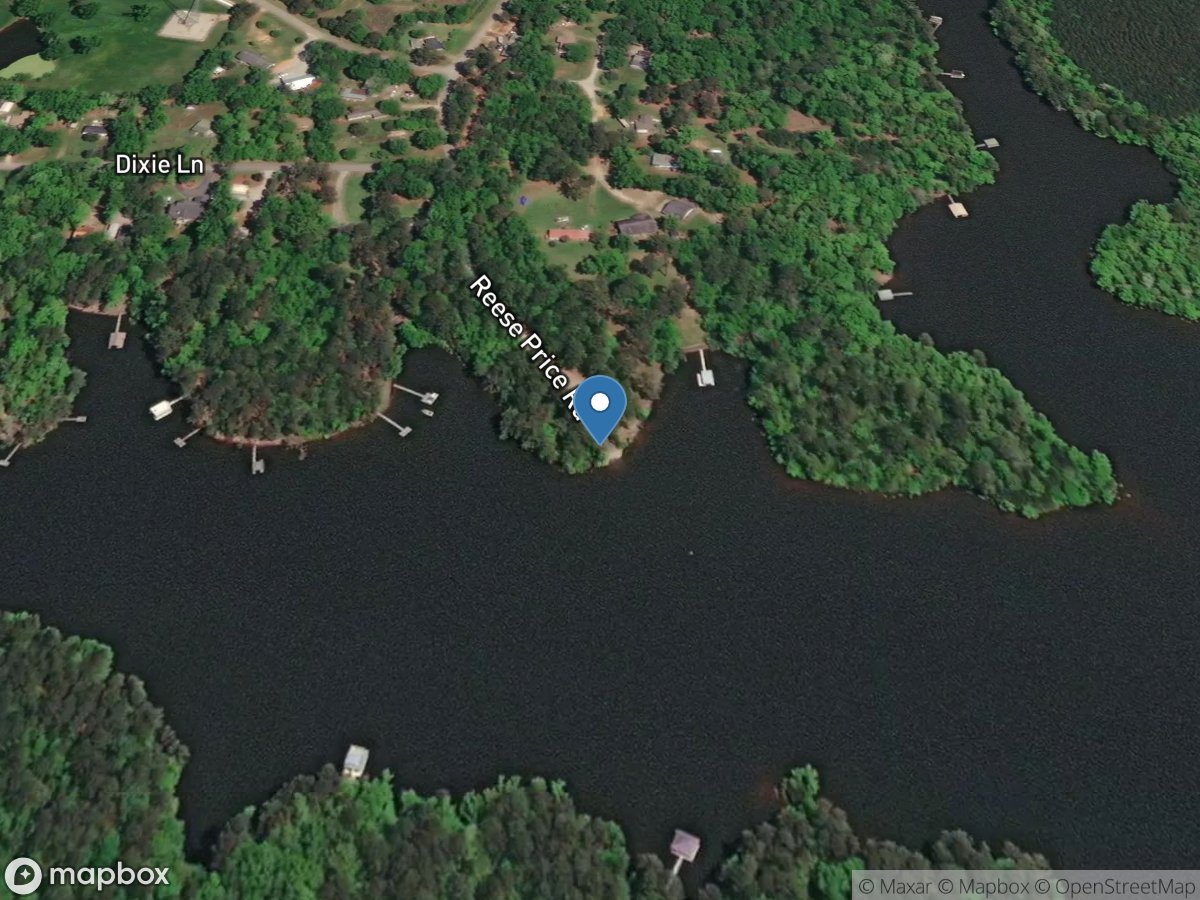 Double Branches Ramp